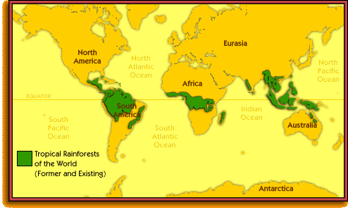 Global Map 